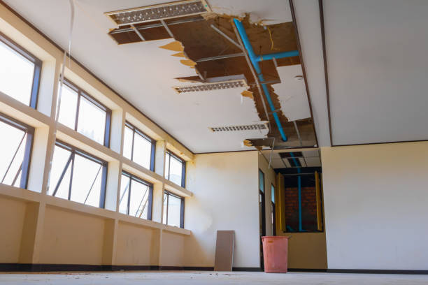 Best Ceiling water damage repair  in Ordway, CO