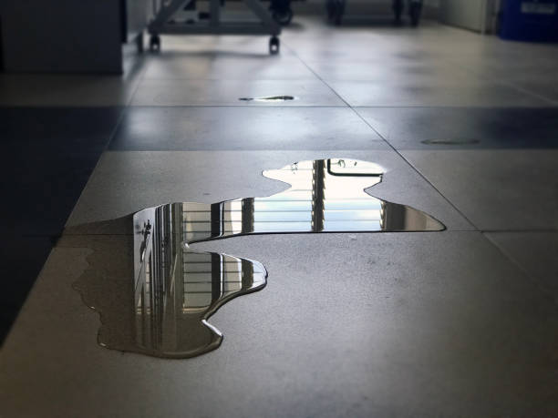 Best Water damage mitigation services  in Ordway, CO
