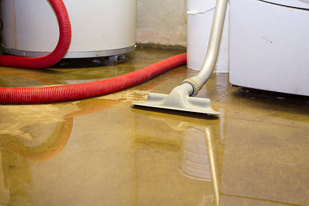 Best Professional water damage repair  in Ordway, CO