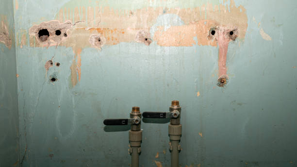 Best Water damage contractors near me  in Ordway, CO