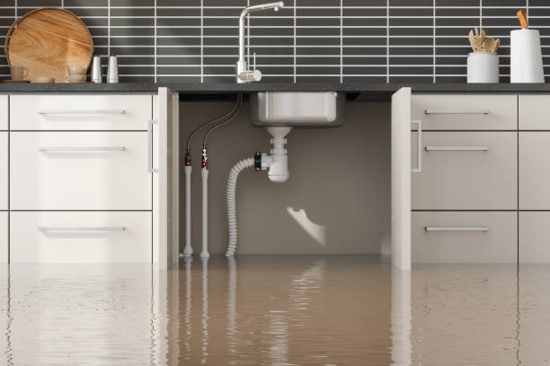 Water damage restoration insurance claims in CO