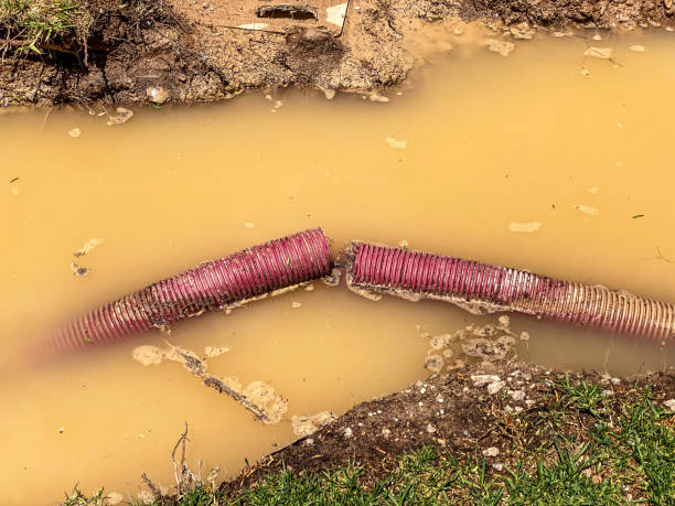 Best Flood restoration services  in Ordway, CO